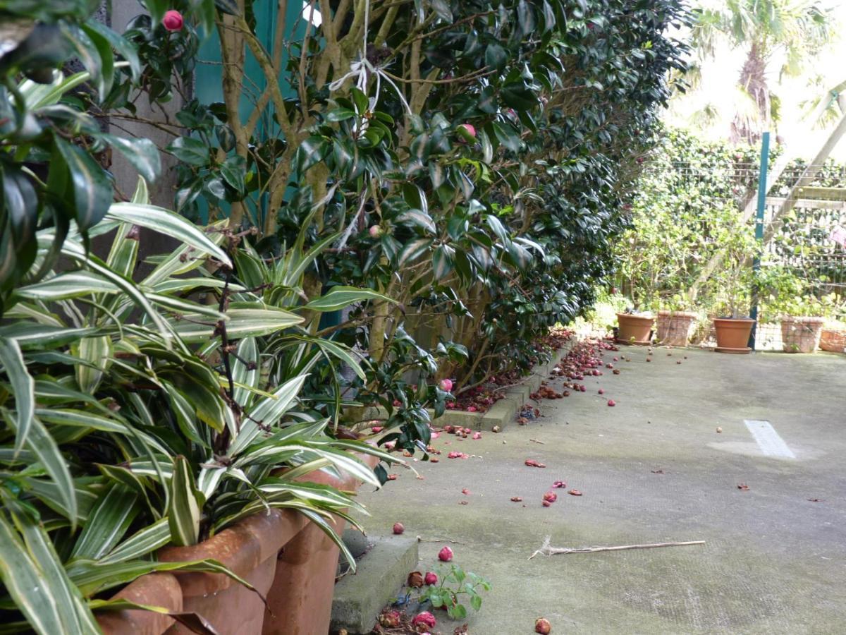 Azores Holidays House -B&B - Suites - Self Check-In Keyboard Ponta Delgada Eksteriør bilde