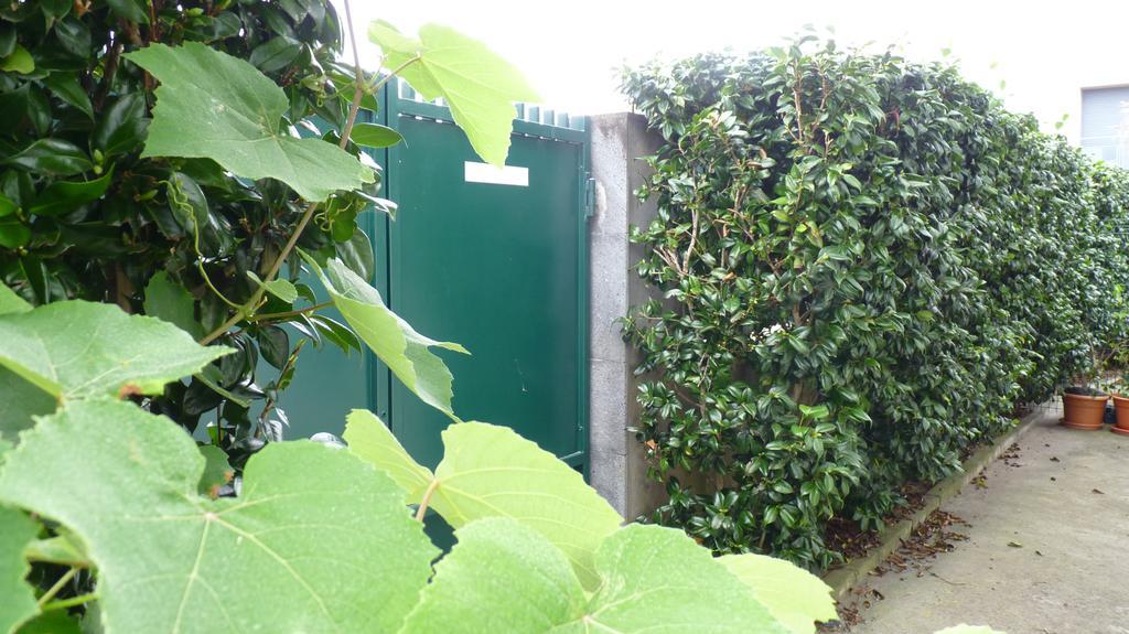 Azores Holidays House -B&B - Suites - Self Check-In Keyboard Ponta Delgada Eksteriør bilde